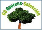 Logotipo del grupo operativo Quercus Selección compuesto por un árbol del tipo Quercus cobijado por el nombre del grupo en letras verdes