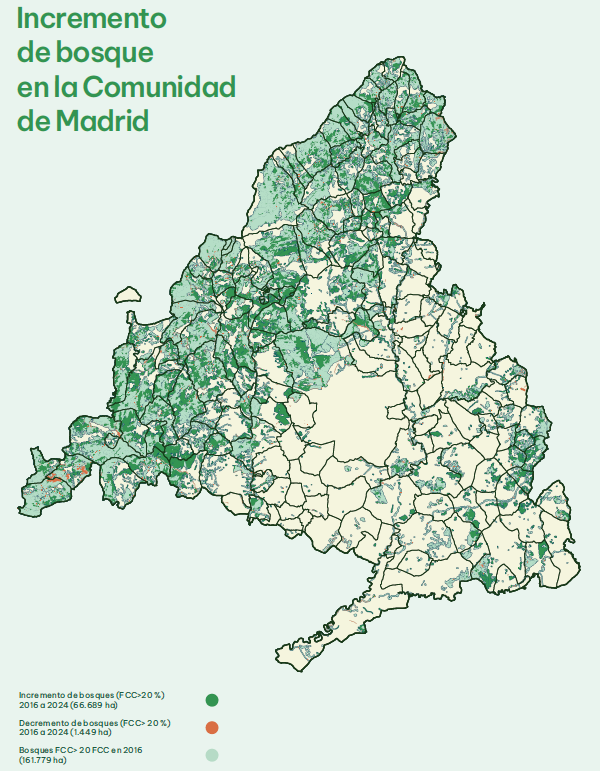 Mapa del incremento de bosque en la Comunidad de Madrid 2016-2024
