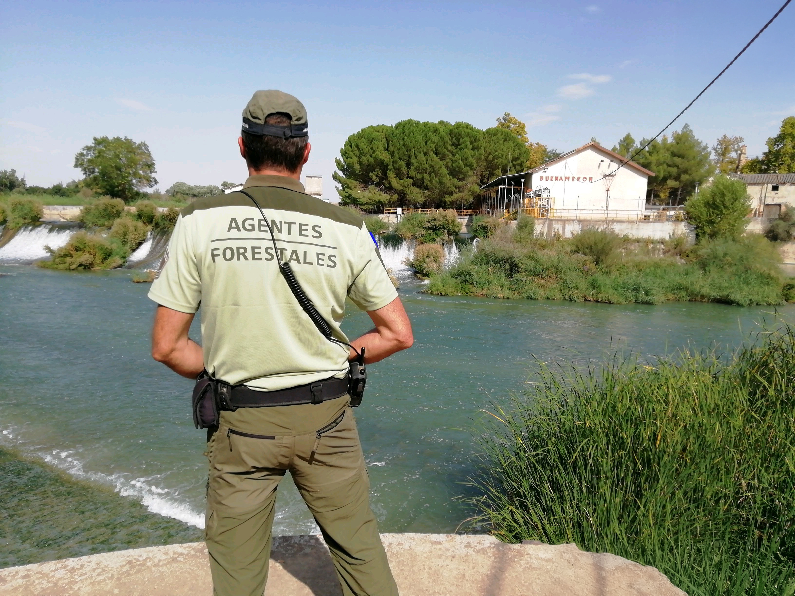 Julieta.allegretti nude saw a non-Korean girl listed on a