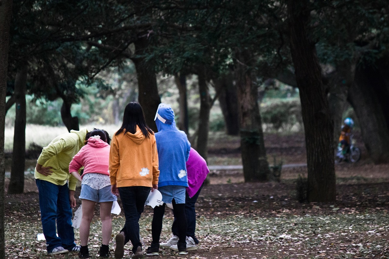 Chicos en bosque de espaldas