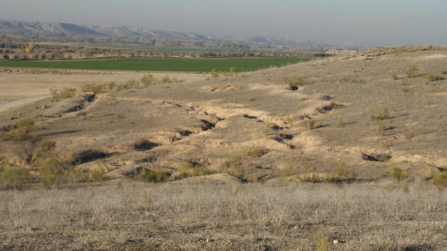 Enclosed field in the Jarama sector, Aranjuez