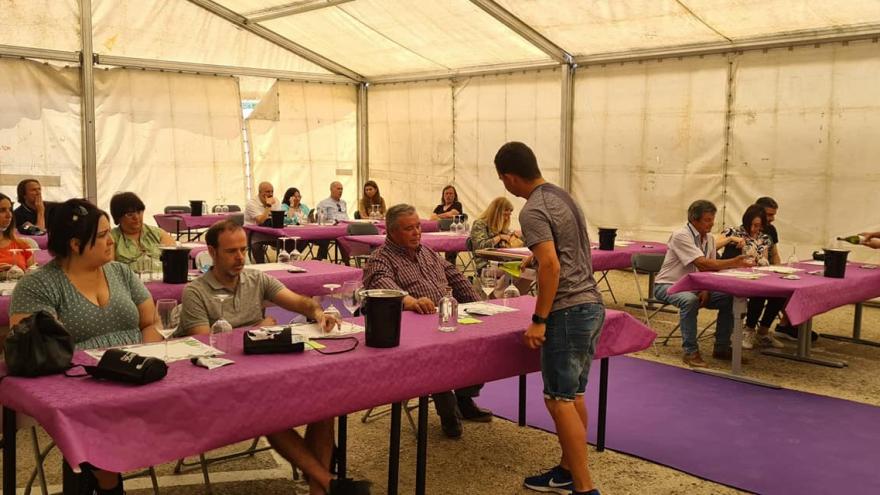 Carpa con personas realizando la cata de vinos