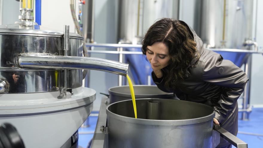 Díaz Ayuso en el inicio de la campaña del aceite: “Merece la pena dedicarse al campo en la Comunidad de Madrid” La presidenta Isabel Díaz Ayuso