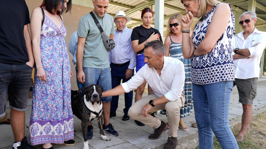 El consejero saluda a uno de los perros