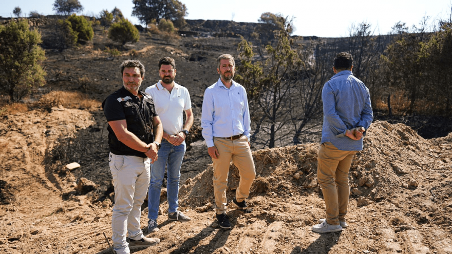 La Comunidad de Madrid da por controlado el incendio de El Molar y Pedrezuela El consejero García Martín