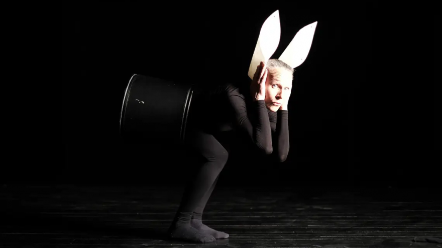 Alice in 