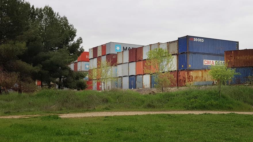 Una foto de Ana Amado en la que se ve pasto verde y al fondo unos containers