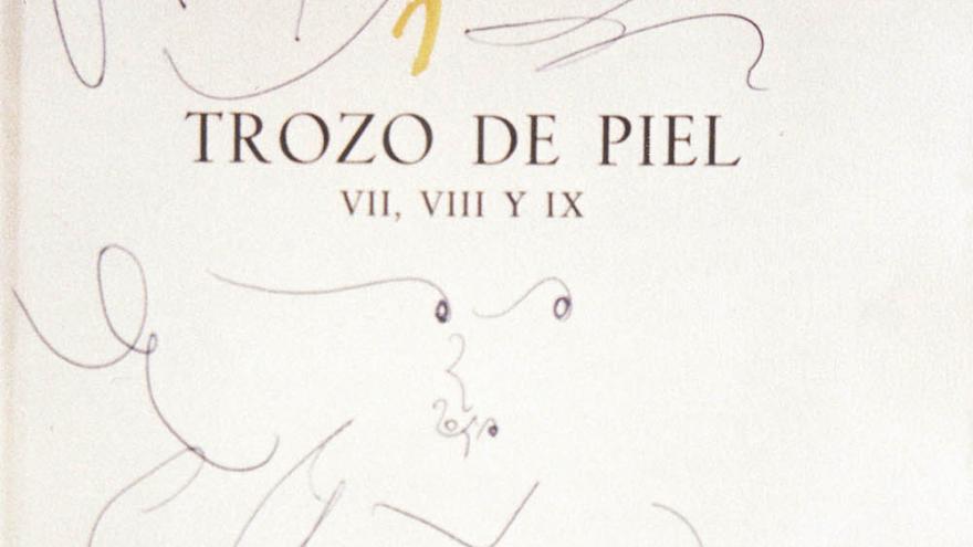 Título del libro donde se lee Trozo de piel y dibujo garabateado de un rostro