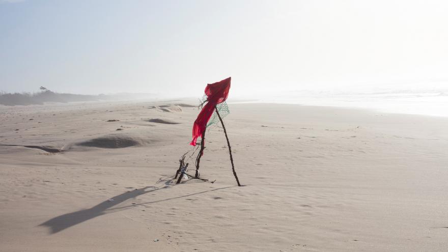 Tela soja sobre palos en una playa