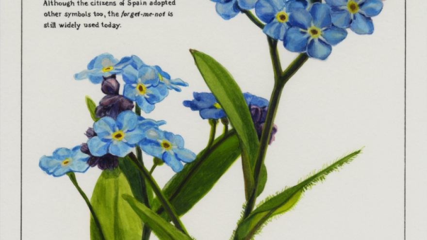 blue flowers
