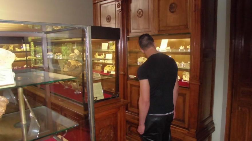 Joven visitando un museo