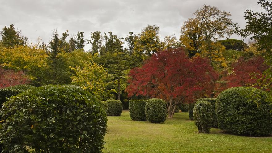 Aranjuez en otoño