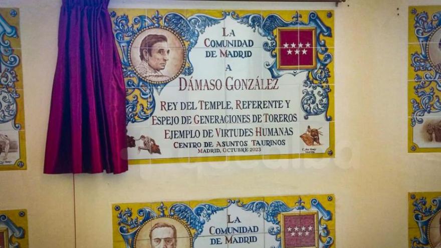 azulejo dámaso gonzález