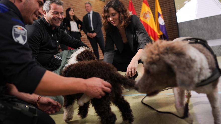 Díaz Ayuso presenta el Plan Regional contra las Drogas con especial atención a los jóvenes y 75 medidas dirigidas a la prevención y concienciación La presidenta durante el acto