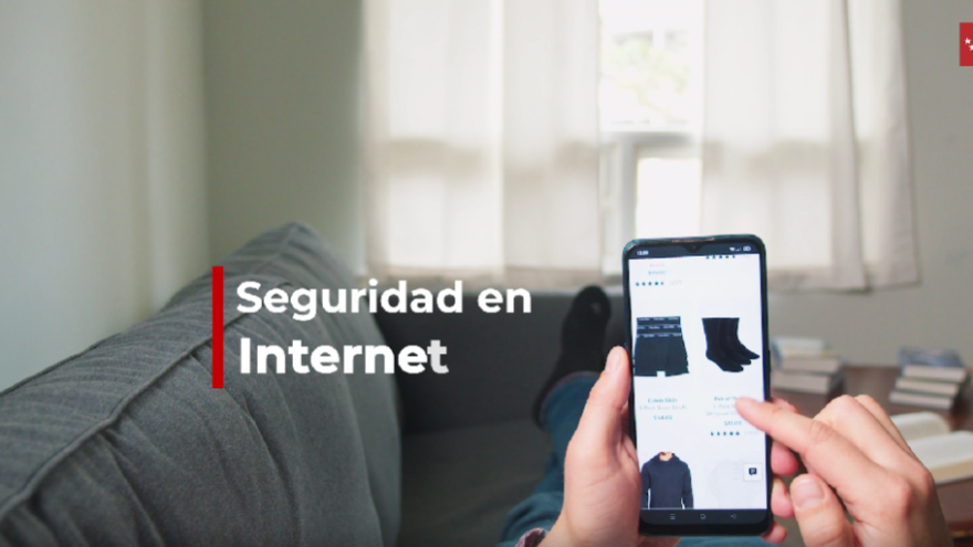 seguridad_internet_video