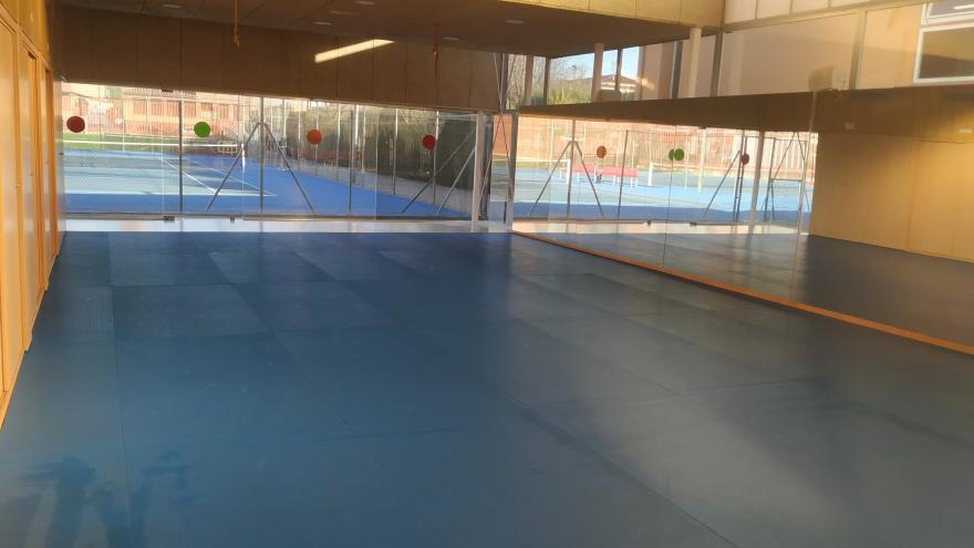GIMNASIO SAN VICENTE DE PAÚL