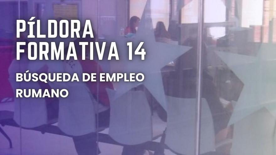 Gráfico Búsqueda empleo rumano