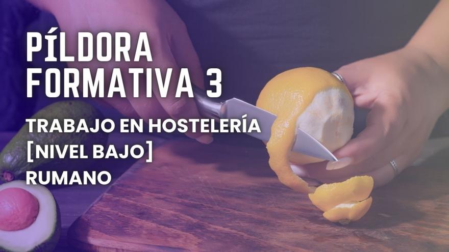 Gráfico píldora formativa hostelería rumano nivel bajo