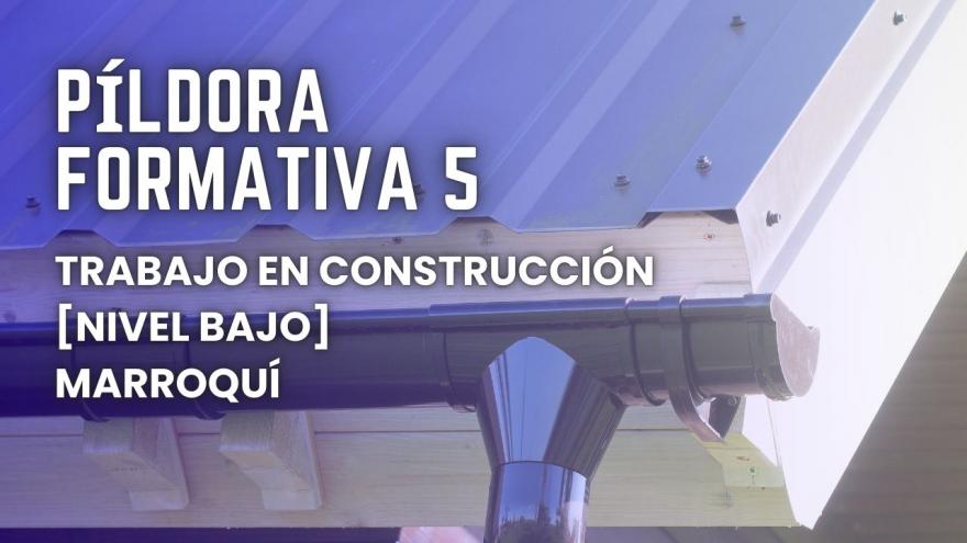 Gráfico 