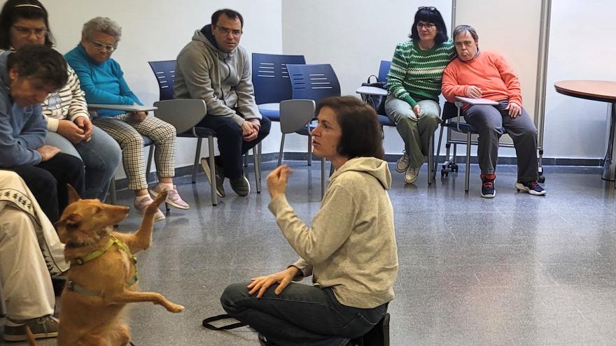 Una entrenadora imparte una sesión de mascoterapia a pacientes