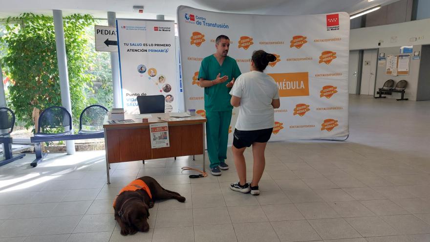 Campaña de donación de médula ósea en El Bercial