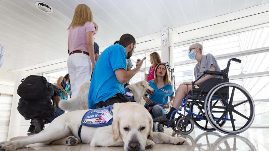 La interacción con animales tiene importantes beneficios físicos y anímicos para los pacientes pediátricos