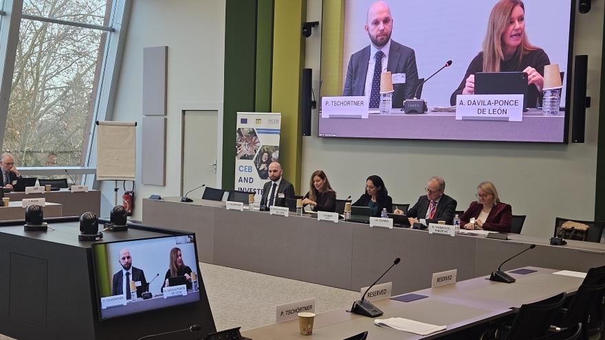 El Banco de Desarrollo del Consejo de Europa estudiará financiar proyectos de las 40 nuevas residencias y 40 centros de día de la Comunidad de Madrid La consejera Dávila