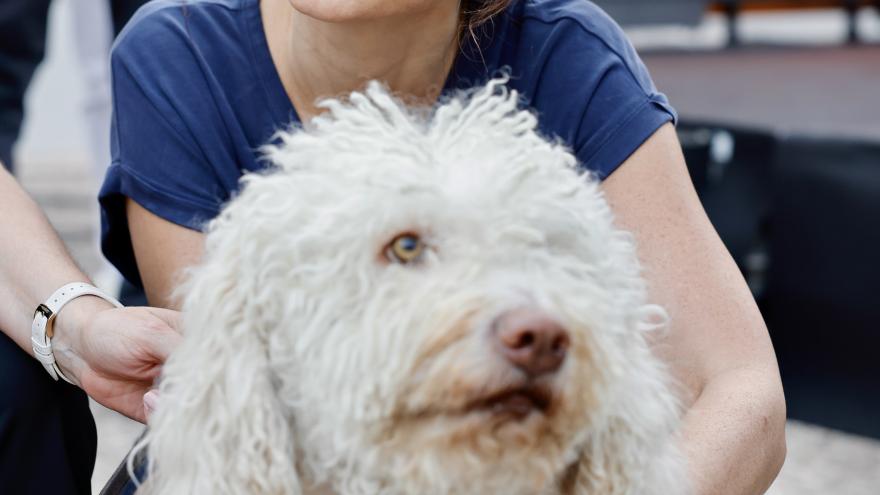 La presidenta Isabel Díaz Ayuso