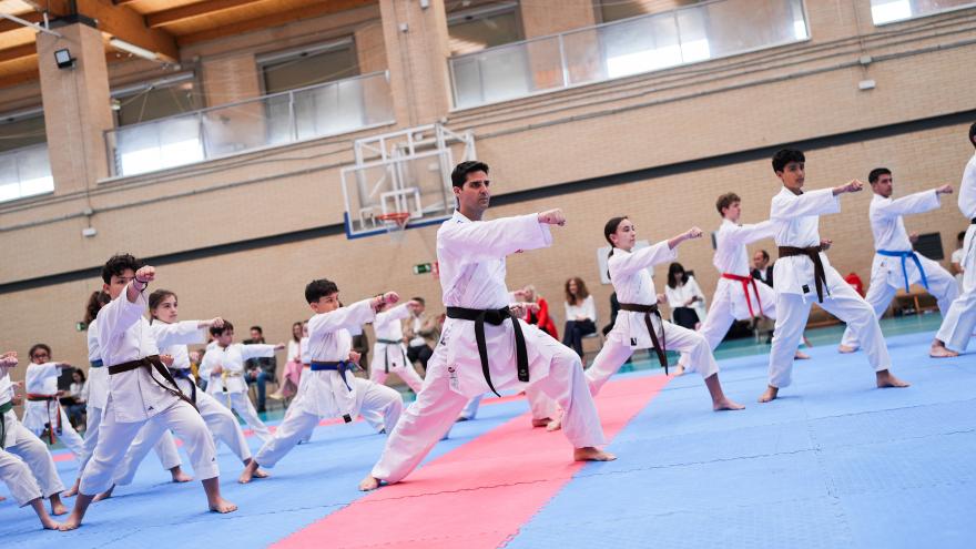 Más de 60 estudiantes madrileños asisten a una clase magistral de kárate del campeón del mundo Iván Leal Los consejeros Viciana y De Paco Serrano