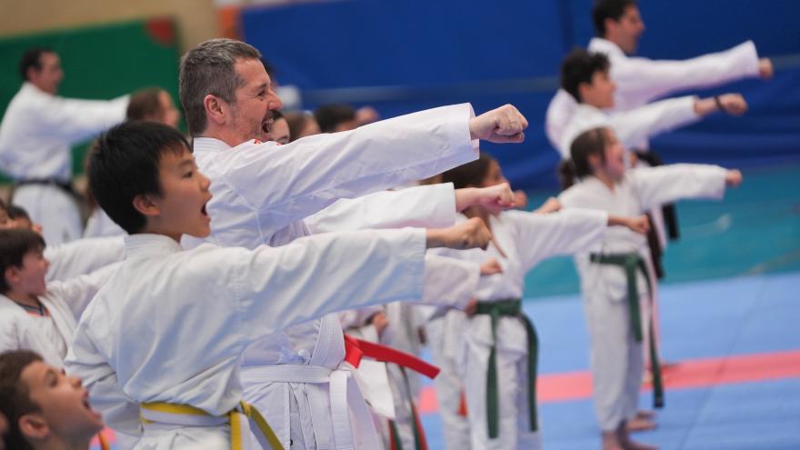 Más de 60 estudiantes madrileños asisten a una clase magistral de kárate del campeón del mundo Iván Leal Los consejeros Viciana y De Paco Serrano