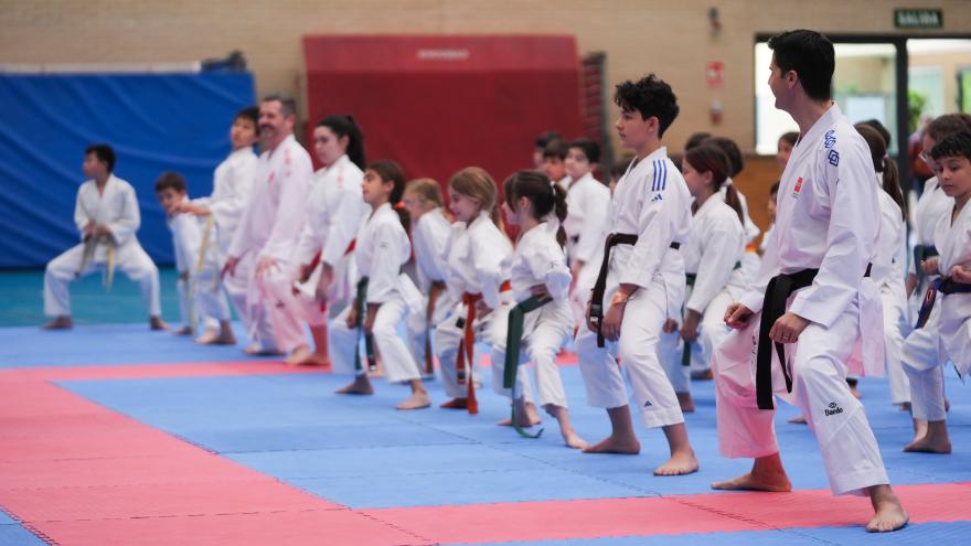 Más de 60 estudiantes madrileños asisten a una clase magistral de kárate del campeón del mundo Iván Leal Los consejeros Viciana y De Paco Serrano