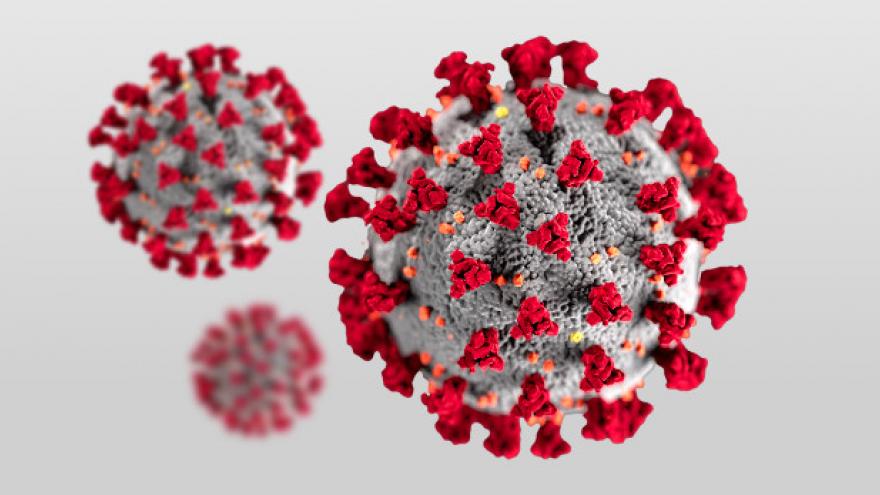 coronavirus boceto