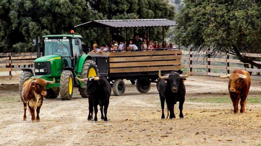 Visita guiada finca