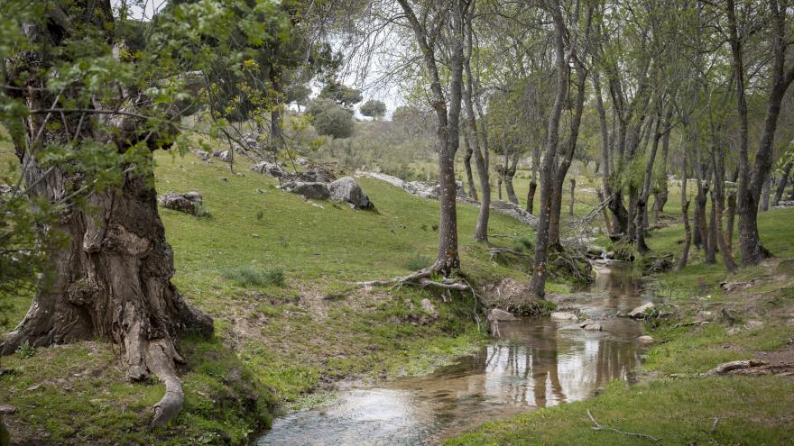 Finca