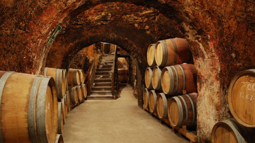 Barricas en bodega DOP Vinos de Madrid