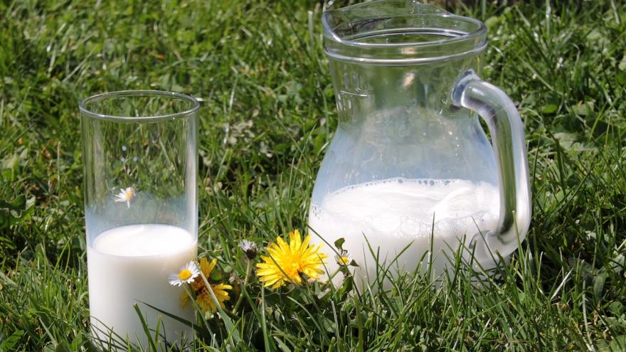 Jarra y vaso de leche sobre la hierba