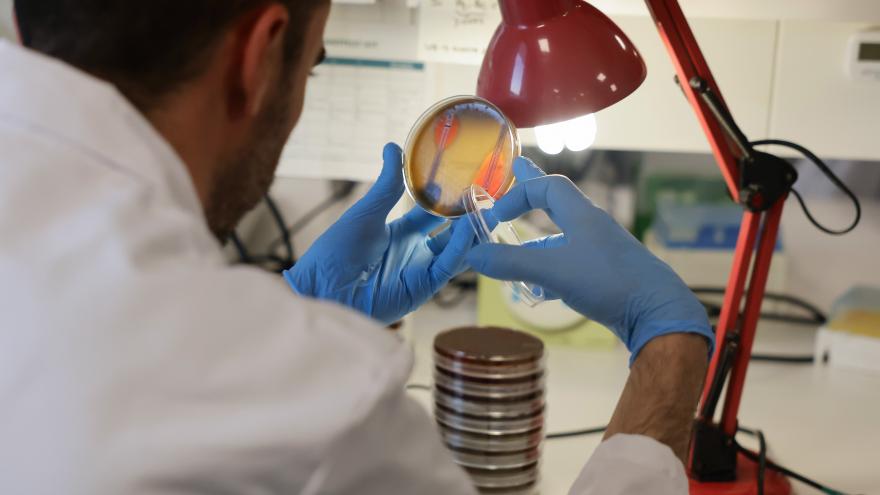Profesional sanitario en el Hospital público Enfermera Isabel Zendal 