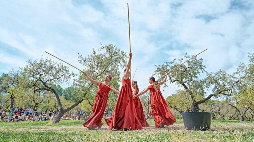 Araca la danza