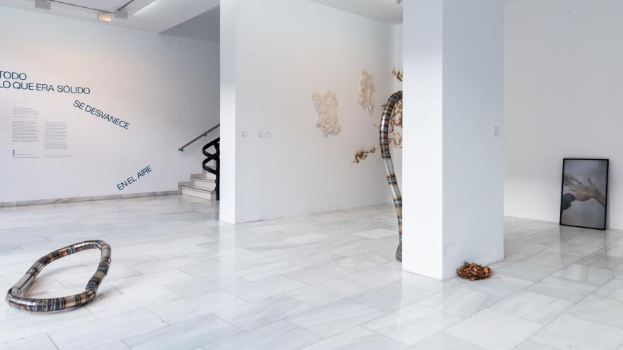 Sala de la exposición