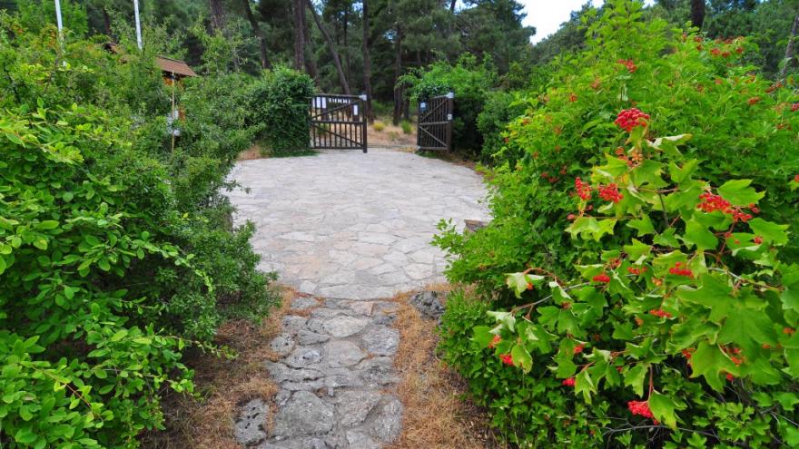 Acceso al Centro de educación ambiental Arboreto Luis Ceballos