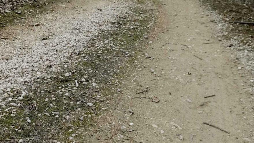 Senda en el Centro de educación ambiental Caserio de Henares