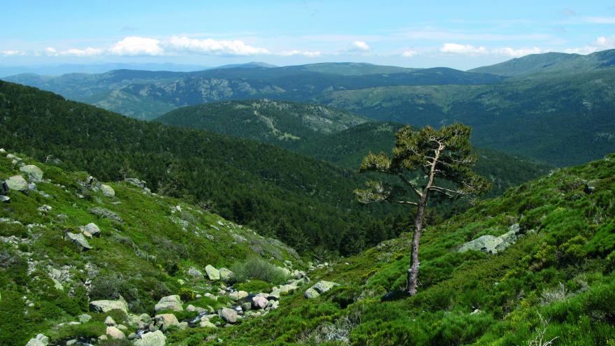 Parque Nacional de la Sierra de Guadarrama. Arroyo Peñalara