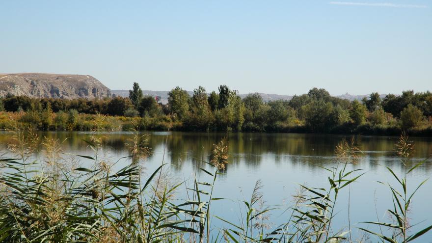 Humedales_Laguna del Soto de las Juntas_Rivas Vaciamadrid