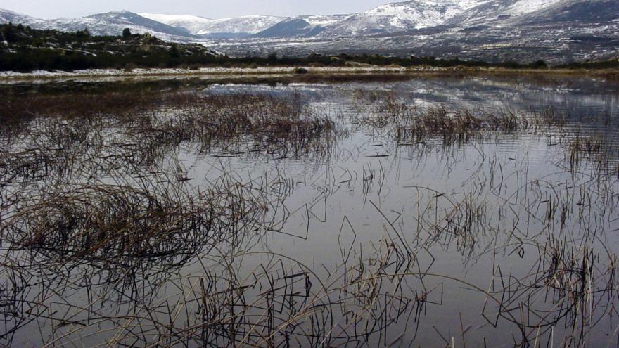 Humedales_Laguna de Valdemanco