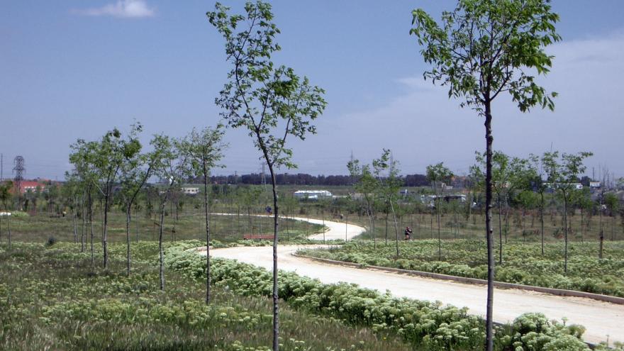 Parque Forestal Bosquesur. Leganés, Fuenlabrada, Getafe y Pinto