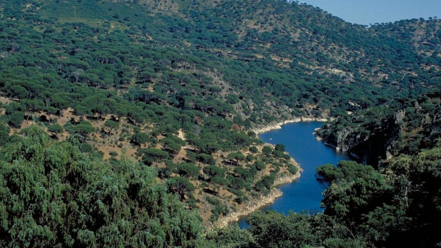 Río Cofio por San Martín de Valdeiglesias