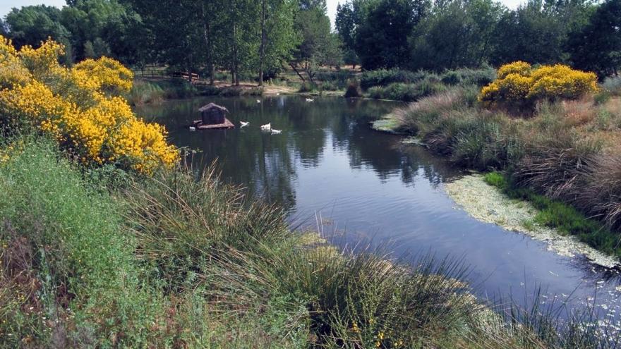 Parque Lineal del río Guadalix