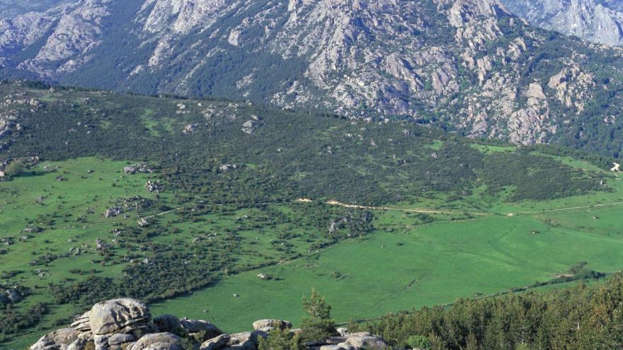 Parque Regional de la cuenca alta del Manzanares. La Pedriza