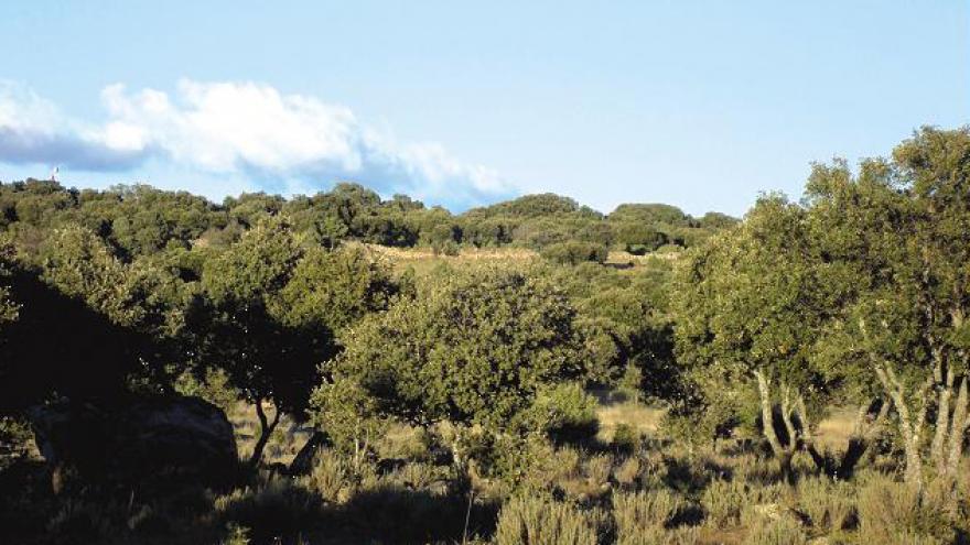 Parque Regional del curso medio del río Guadarrama y su entorno