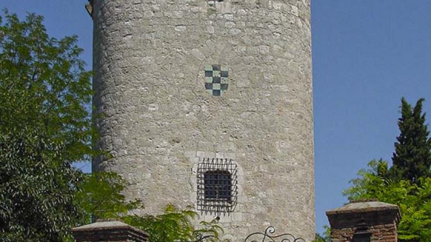 Torreón de Pinto
